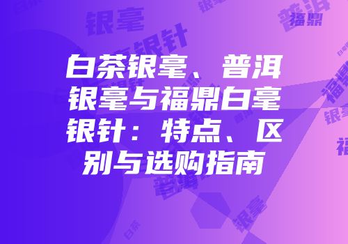 白茶银毫、普洱银毫与福鼎白毫银针：特点、区别与选购指南
