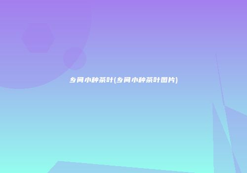 乡间小种茶叶(乡间小种茶叶图片)