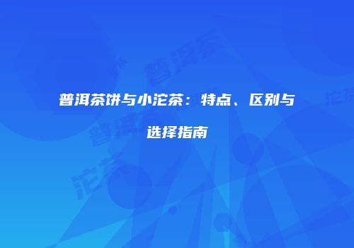 普洱茶饼与小沱茶：特点、区别与选择指南