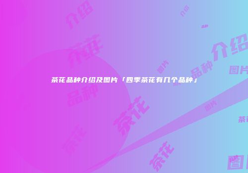 茶花品种介绍及图片「四季茶花有几个品种」