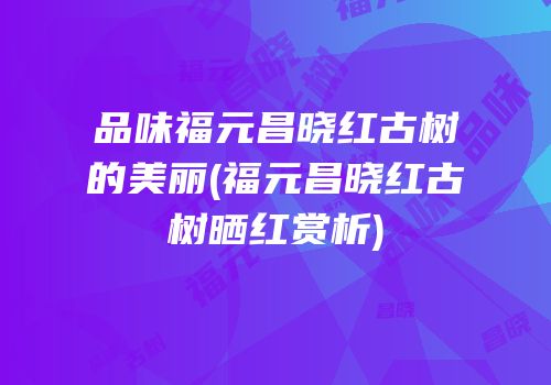 品味福元昌晓红古树的美丽(福元昌晓红古树晒红赏析)