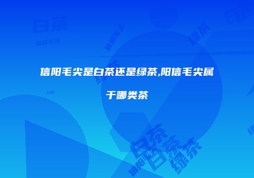 信阳毛尖是白茶还是绿茶,阳信毛尖属于哪类茶