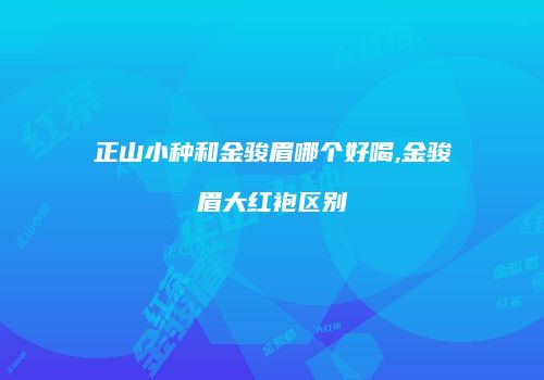 正山小种和金骏眉哪个好喝,金骏眉大红袍区别