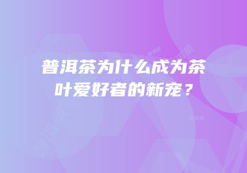 普洱茶为什么成为茶叶爱好者的新宠？