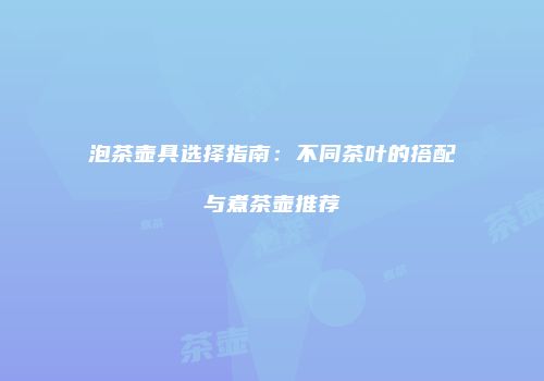 泡茶壶具选择指南：不同茶叶的搭配与煮茶壶推荐