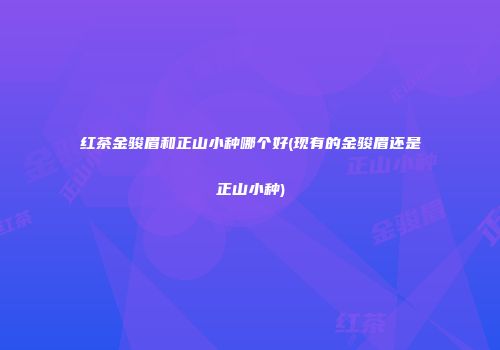 红茶金骏眉和正山小种哪个好(现有的金骏眉还是正山小种)