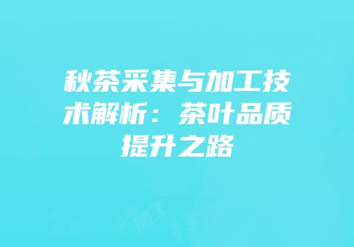秋茶采集与加工技术解析：茶叶品质提升之路