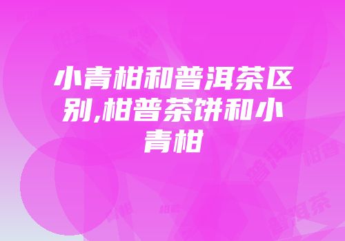 小青柑和普洱茶区别,柑普茶饼和小青柑