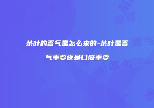 茶叶的香气是怎么来的-茶叶是香气重要还是口感重要
