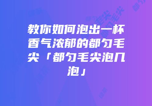 教你如何泡出一杯香气浓郁的都匀毛尖「都匀毛尖泡几泡」