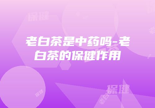 老白茶是中药吗-老白茶的保健作用