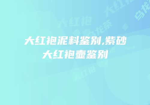 大红袍泥料鉴别,紫砂大红袍壶鉴别