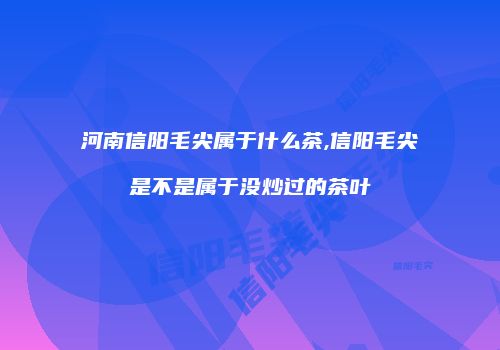 河南信阳毛尖属于什么茶,信阳毛尖是不是属于没炒过的茶叶