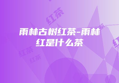 雨林古树红茶-雨林红是什么茶