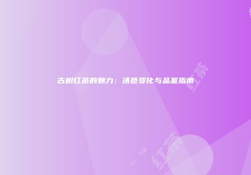 古树红茶的魅力：汤色变化与品鉴指南