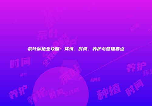 茶叶种植全攻略：环境、时间、养护与管理要点