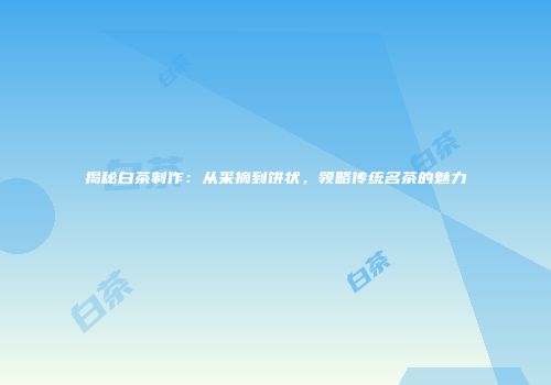 揭秘白茶制作：从采摘到饼状，领略传统名茶的魅力