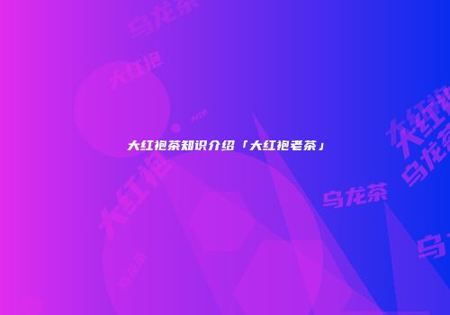 大红袍茶知识介绍「大红袍老茶」