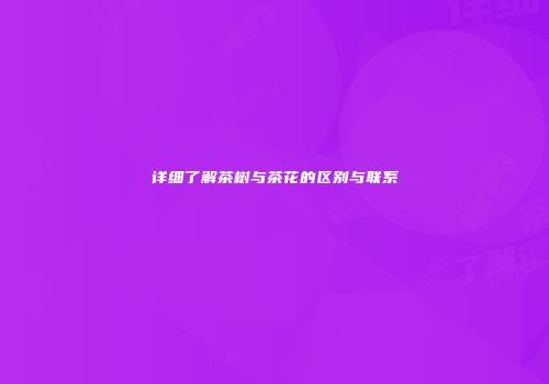 详细了解茶树与茶花的区别与联系