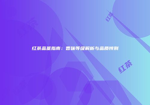 红茶品鉴指南：香味等级解析与品质辨别