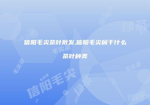 信阳毛尖茶叶批发,信阳毛尖属于什么茶叶种类