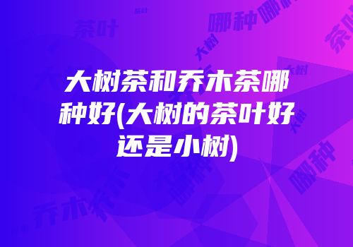 大树茶和乔木茶哪种好(大树的茶叶好还是小树)