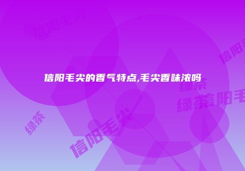 信阳毛尖的香气特点,毛尖香味浓吗