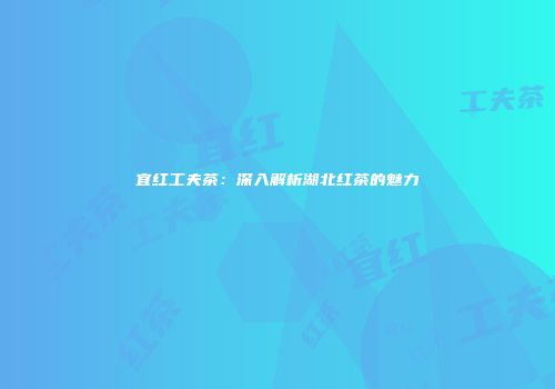 宜红工夫茶：深入解析湖北红茶的魅力
