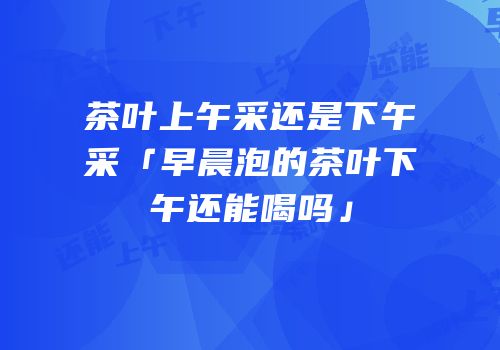 茶叶上午采还是下午采「早晨泡的茶叶下午还能喝吗」