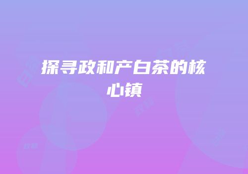 探寻政和产白茶的核心镇