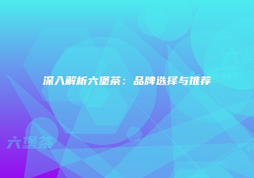 深入解析六堡茶：品牌选择与推荐