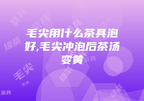 毛尖用什么茶具泡好,毛尖冲泡后茶汤变黄
