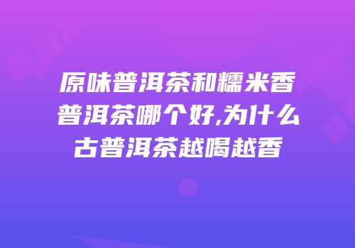 原味普洱茶和糯米香普洱茶哪个好,为什么古普洱茶越喝越香