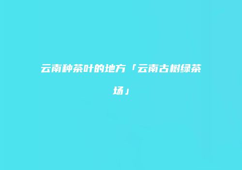 云南种茶叶的地方「云南古树绿茶场」