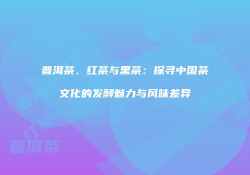 普洱茶、红茶与黑茶：探寻中国茶文化的发酵魅力与风味差异