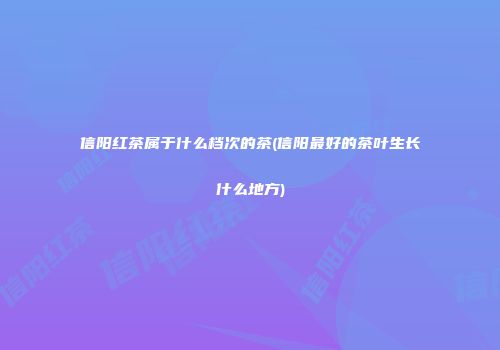 信阳红茶属于什么档次的茶(信阳最好的茶叶生长什么地方)