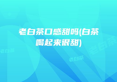 老白茶口感甜吗(白茶喝起来很甜)