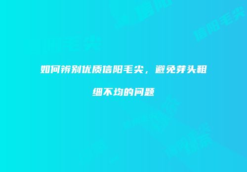如何辨别优质信阳毛尖，避免芽头粗细不均的问题