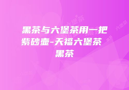 黑茶与六堡茶用一把紫砂壶-天福六堡茶 黑茶