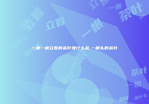 一根一根立着的茶叶是什么茶,一根头的茶叶
