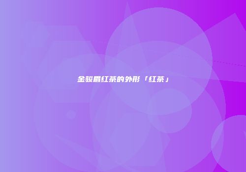 金骏眉红茶的外形「红茶」