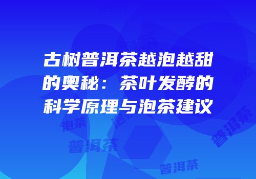 古树普洱茶越泡越甜的奥秘：茶叶发酵的科学原理与泡茶建议