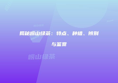 揭秘崂山绿茶：特点、种植、辨别与鉴赏