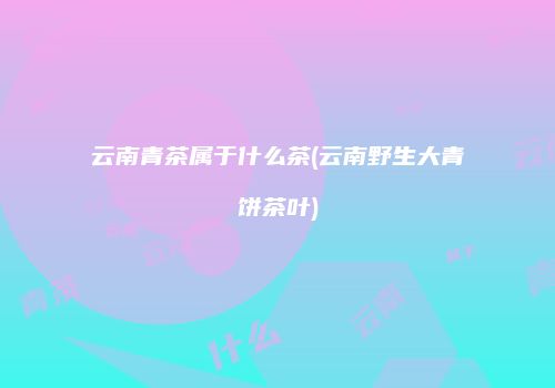 云南青茶属于什么茶(云南野生大青饼茶叶)