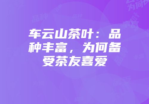 车云山茶叶：品种丰富，为何备受茶友喜爱