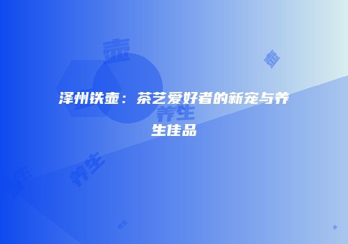 泽州铁壶：茶艺爱好者的新宠与养生佳品