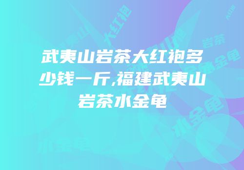 武夷山岩茶大红袍多少钱一斤,福建武夷山岩茶水金龟