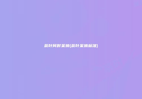 茶叶何时采摘(茶叶采摘标准)