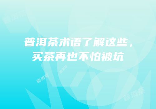 普洱茶术语了解这些，买茶再也不怕被坑
