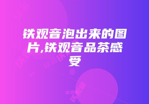 铁观音泡出来的图片,铁观音品茶感受